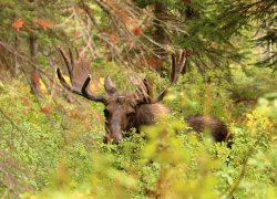 5J5A1732A.JPG 5J5A1732A.JPG