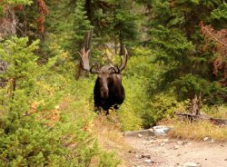 5J5A1737A.JPG 5J5A1737A.JPG