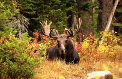 5J5A1744B.JPG 5J5A1744B.JPG