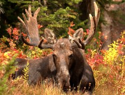 5J5A1750B.JPG 5J5A1750B.JPG