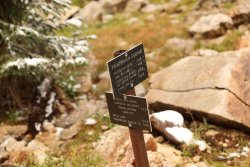 5J5A1769.JPG 5J5A1769.JPG