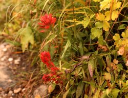 5J5A1784.JPG 5J5A1784.JPG