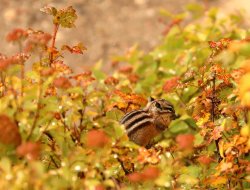 5J5A1785.JPG 5J5A1785.JPG