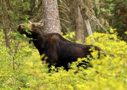 5J5A1802.JPG 5J5A1802.JPG