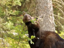 5J5A1803.JPG 5J5A1803.JPG