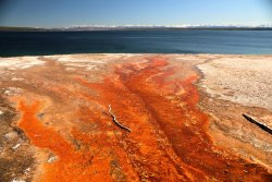 5J5A1973.JPG 5J5A1973.JPG