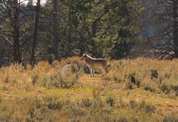 5J5A2020.JPG 5J5A2020.JPG