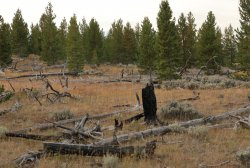 5J5A2064.JPG 5J5A2064.JPG