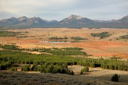 5J5A2071.JPG 5J5A2071.JPG