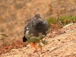 5J5A2077A.JPG 5J5A2077A.JPG