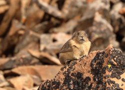 5J5A2094.JPG 5J5A2094.JPG