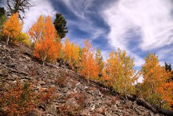 5J5A2104.JPG 5J5A2104.JPG