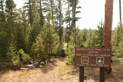 5J5A2105.JPG 5J5A2105.JPG