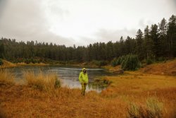 5J5A2178A.JPG 5J5A2178A.JPG