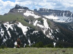 Barret Coming Out of Trees on Austin.jpg