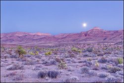 _MG_7327.jpg _MG_7327.jpg