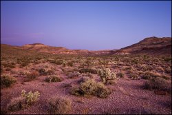 _MG_7334.jpg _MG_7334.jpg