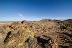 _MG_7339.jpg _MG_7339.jpg