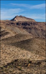 _MG_7342.jpg _MG_7342.jpg