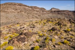 _MG_7347.jpg _MG_7347.jpg