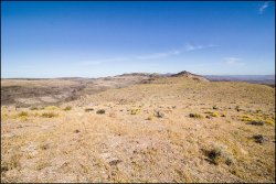 _MG_7350.jpg _MG_7350.jpg