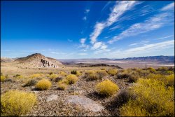 _MG_7352.jpg _MG_7352.jpg