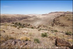 _MG_7355.jpg _MG_7355.jpg