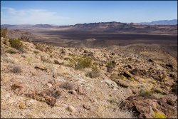 _MG_7358.jpg _MG_7358.jpg