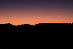 IMG_5071.jpg IMG_5071.jpg