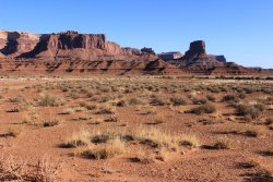 IMG_5096.jpg IMG_5096.jpg