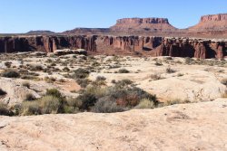 IMG_5103.jpg IMG_5103.jpg