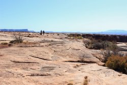 IMG_5104.jpg IMG_5104.jpg