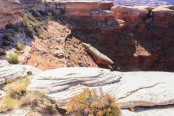 IMG_5115.jpg IMG_5115.jpg