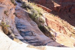 IMG_5117.jpg IMG_5117.jpg