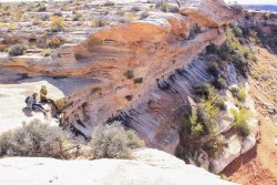 IMG_5118.jpg IMG_5118.jpg