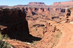 IMG_5119.jpg IMG_5119.jpg