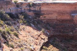 IMG_5119-2.jpg IMG_5119-2.jpg