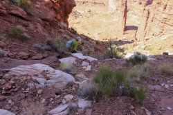 IMG_5120.jpg IMG_5120.jpg