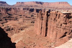 IMG_5124.jpg IMG_5124.jpg