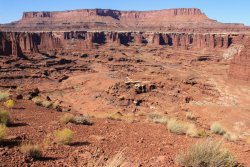 IMG_5138.jpg IMG_5138.jpg