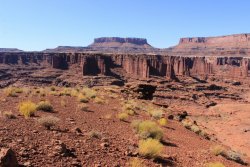 IMG_5139.jpg IMG_5139.jpg