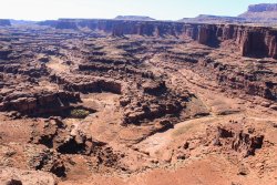 IMG_5146.jpg IMG_5146.jpg