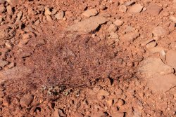 IMG_5147.jpg IMG_5147.jpg