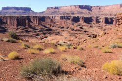 IMG_5150.jpg IMG_5150.jpg