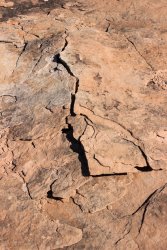 IMG_5152.jpg IMG_5152.jpg