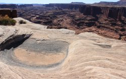 IMG_5156.jpg IMG_5156.jpg