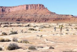 IMG_5158.jpg IMG_5158.jpg