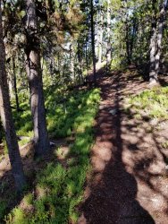 20190802_092308.jpg 20190802_092308.jpg