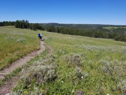 20190802_112229.jpg 20190802_112229.jpg