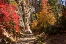 Zion Kolob The North Fork 10-20190701.jpg